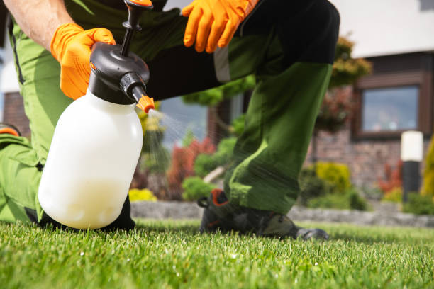 Best Pest Control Near Me  in Oak Grove, OR