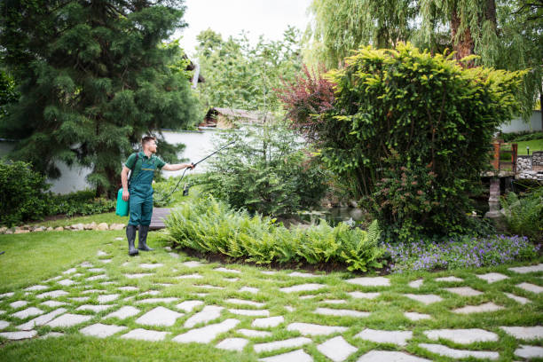 Best Rodent Control Near Me  in Oak Grove, OR