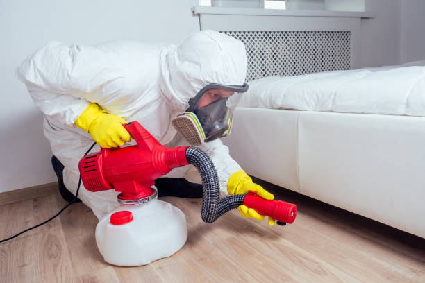 Trusted Oak Grove, OR Pest Control Experts