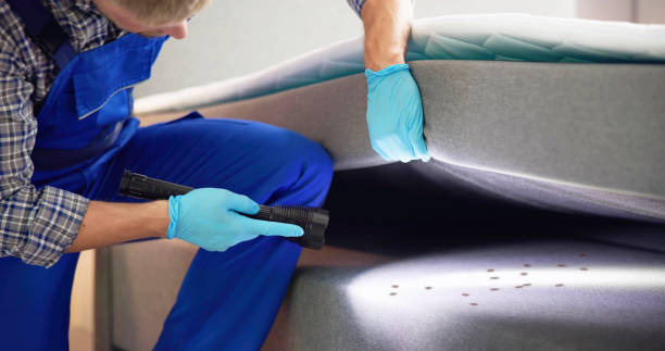 Best Rat Extermination Near Me  in Oak Grove, OR